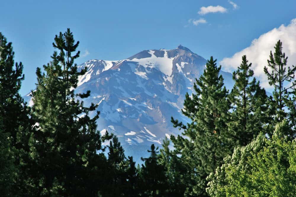 Snow-capped mountain behind lush green pine trees, outdoor scenery, nature landscape, mountain hiking, adventure travel, scenic views, mountain wilderness, vibrant forest, trail exploration, ecosystem exploration.