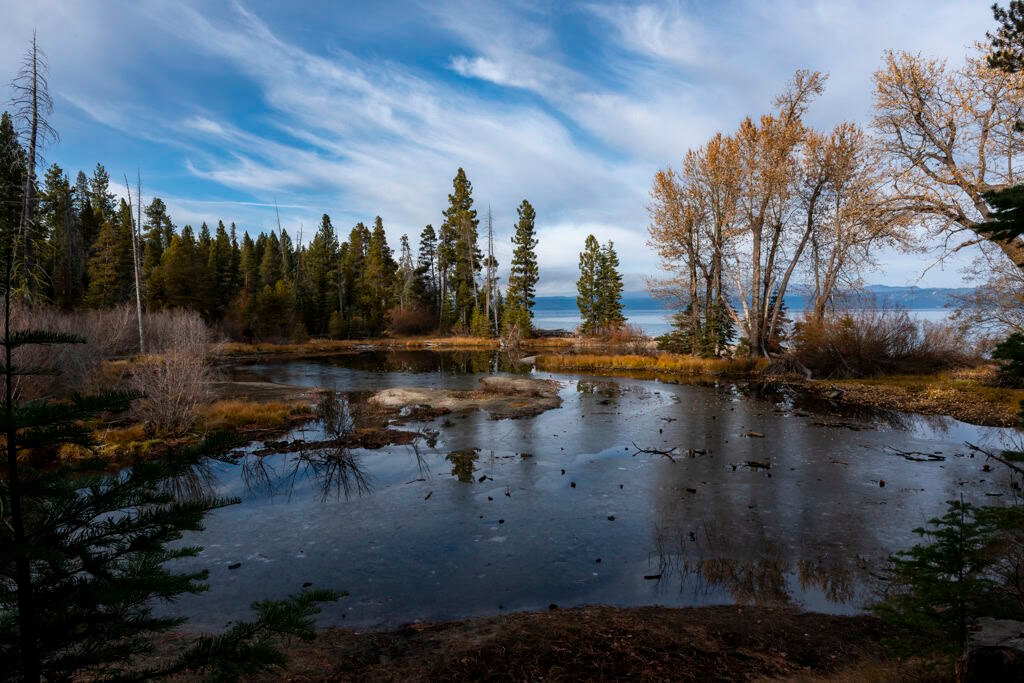 Frozen lake surrounded by pine and deciduous trees in a scenic forest landscape.