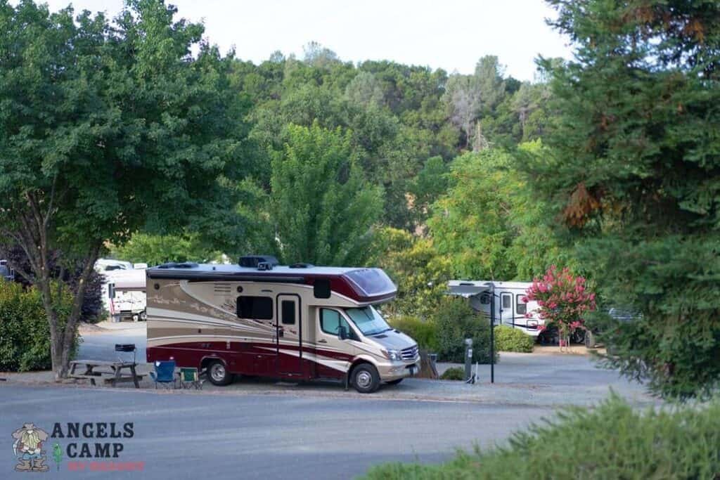 RV camping scene with motorhomes surrounded by lush greenery at Angels Camp RV Resort.