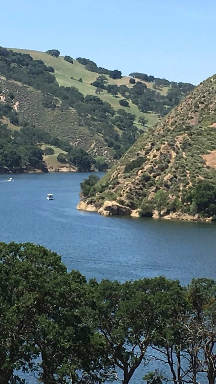 Beautiful view of Del Valle Regional Park's lake with surrounding green hills and clear blue sky, ideal for outdoor activities and cycling events.