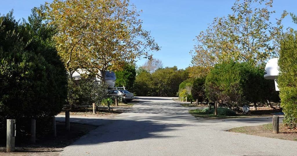 Enjoying RVing, traveling, camping, and nature at El Chorro County Park in San Luis Obispo, CA.